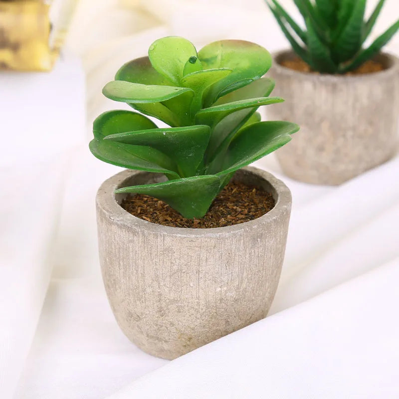 Mini Suculentas Artificiais Bonsai Decorativas — Plantas Pequenas para Mesa e Prateleira