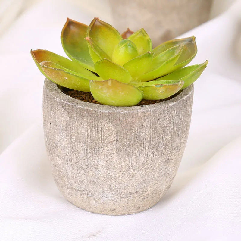 Mini Suculentas Artificiais Bonsai Decorativas — Plantas Pequenas para Mesa e Prateleira