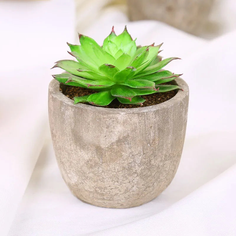 Mini Suculentas Artificiais Bonsai Decorativas — Plantas Pequenas para Mesa e Prateleira