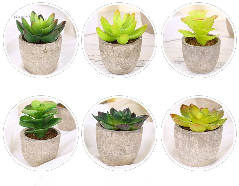 Mini Suculentas Artificiais Bonsai Decorativas — Plantas Pequenas para Mesa e Prateleira