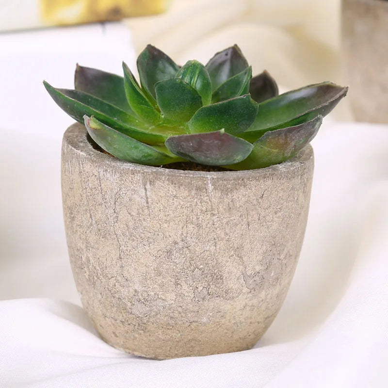 Mini Suculentas Artificiais Bonsai Decorativas — Plantas Pequenas para Mesa e Prateleira