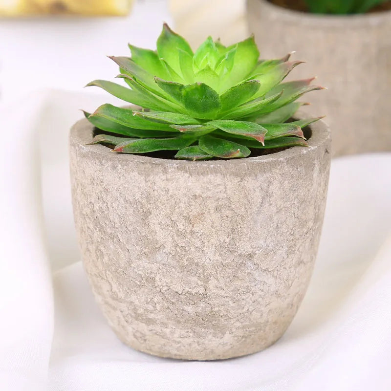 Mini Suculentas Artificiais Bonsai Decorativas — Plantas Pequenas para Mesa e Prateleira