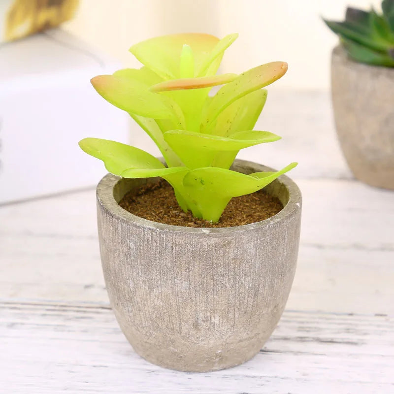 Mini Suculentas Artificiais Bonsai Decorativas — Plantas Pequenas para Mesa e Prateleira