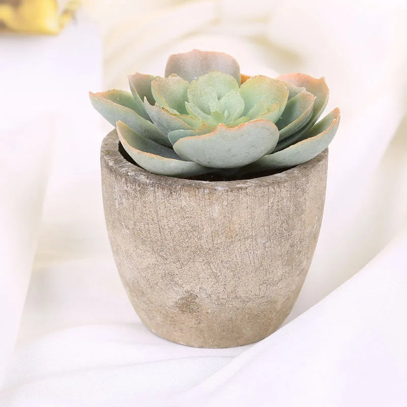 Mini Suculentas Artificiais Bonsai Decorativas — Plantas Pequenas para Mesa e Prateleira