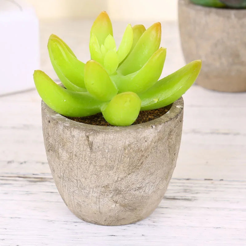 Mini Suculentas Artificiais Bonsai Decorativas — Plantas Pequenas para Mesa e Prateleira