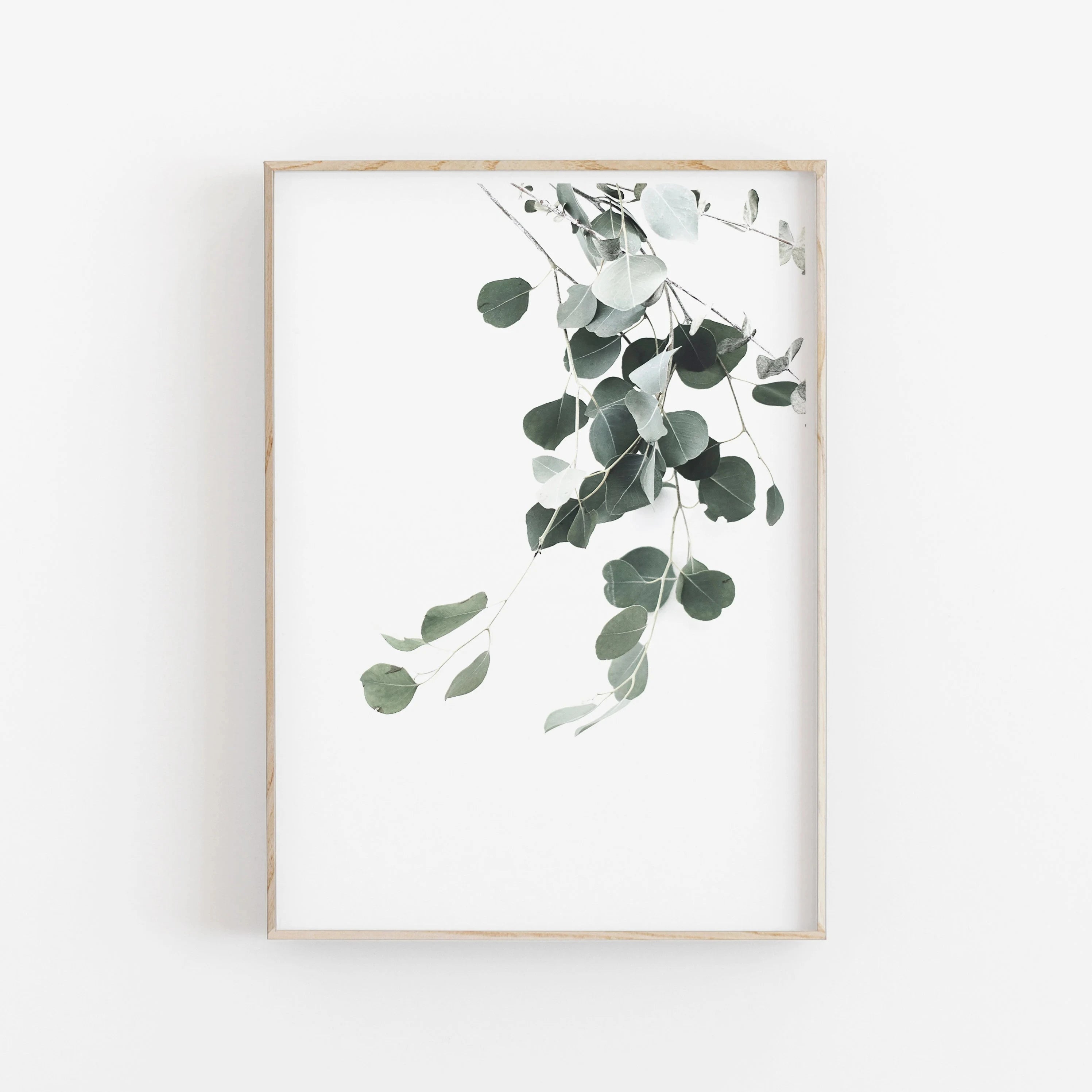 Quadro Decorativo Eucalipto e Palmeira — Arte Botânica Nórdica Minimalista para Sala