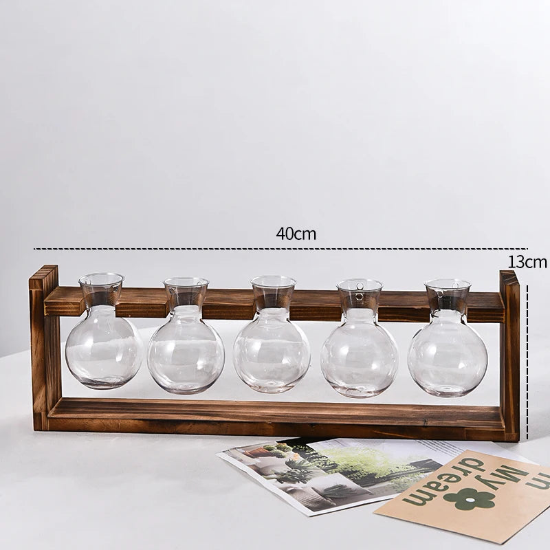 Vaso Hidropônico Formato Lampada com Base de Madeira — Decoração para Mesa e Escritório