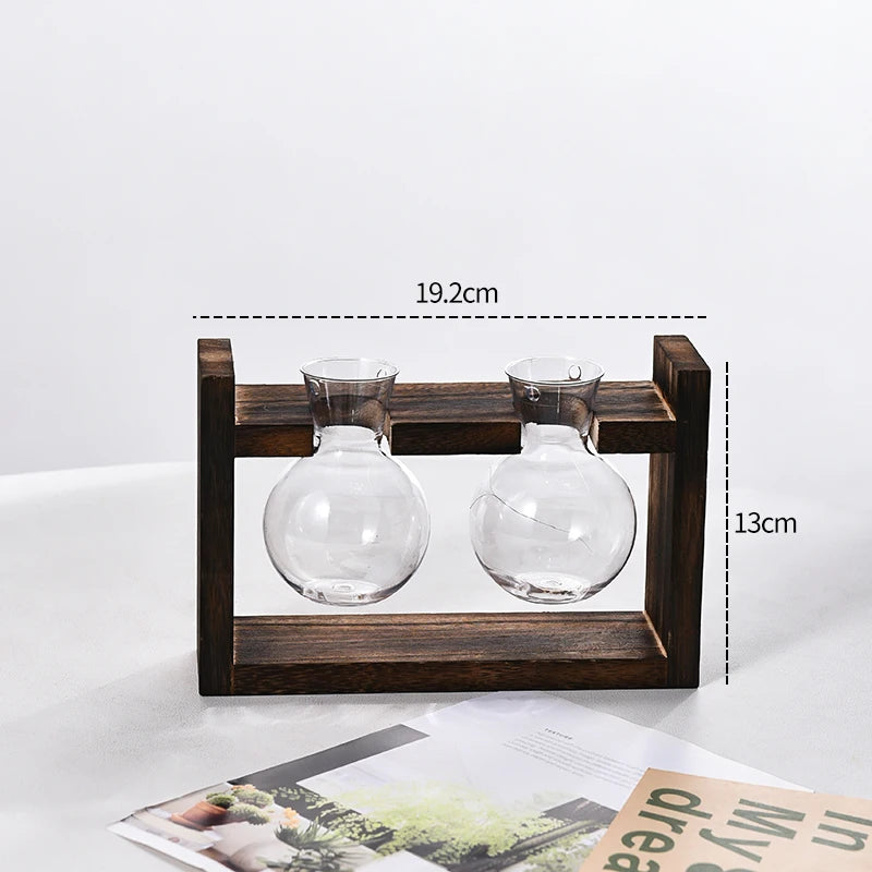 Vaso Hidropônico Formato Lampada com Base de Madeira — Decoração para Mesa e Escritório