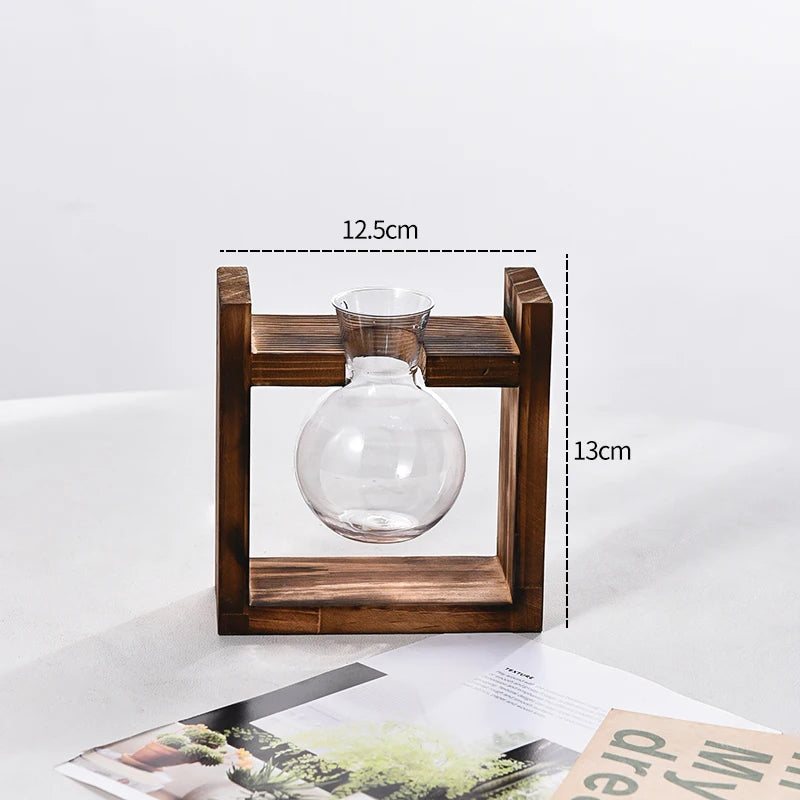 Vaso Hidropônico Formato Lampada com Base de Madeira — Decoração para Mesa e Escritório