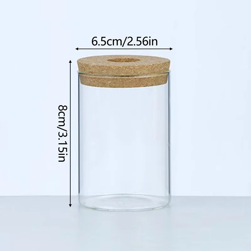 Vaso Hidropônico de Vidro Nórdico com Bandeja — Mini Vaso Autoirrigável para Mesa