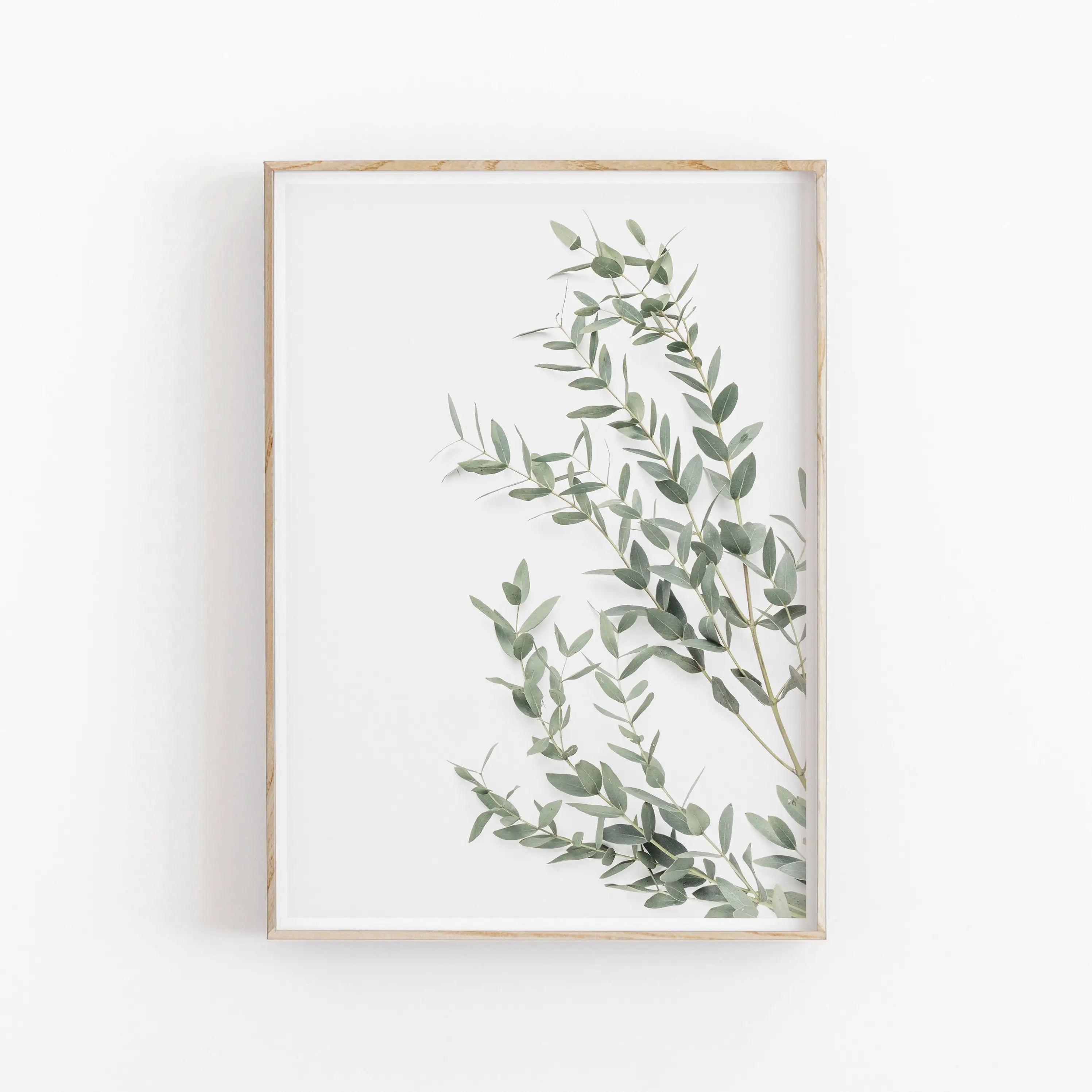 Quadro Decorativo Eucalipto e Palmeira — Arte Botânica Nórdica Minimalista para Sala