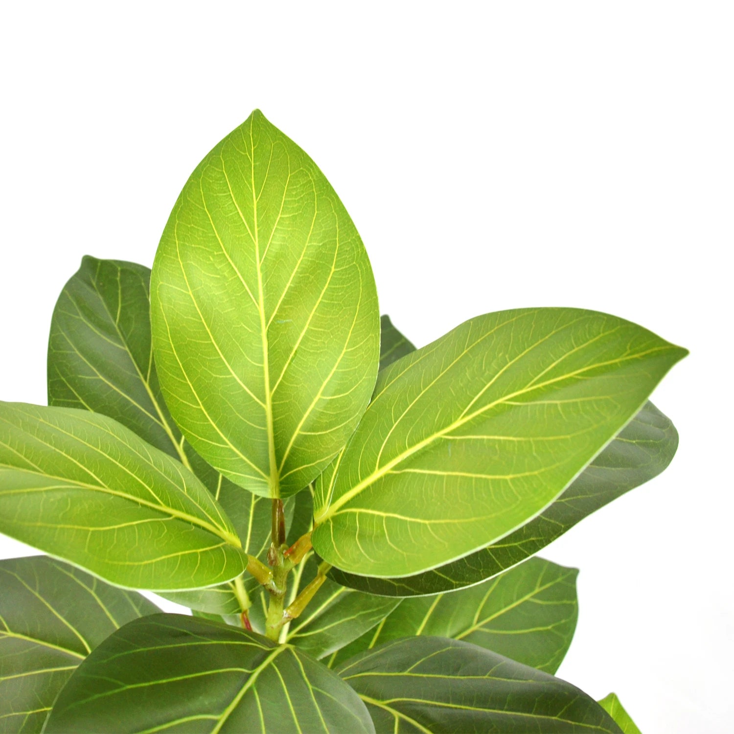 Ficus Lyrata Artificial Extra Grande 77 a 135cm — Para Jardim, Varanda e Escritório