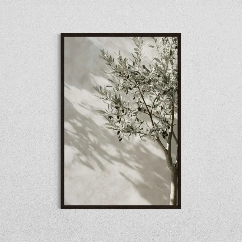Quadro Decorativo Oliveira Mediterrânea sem Moldura — Arte Botânica para Sala