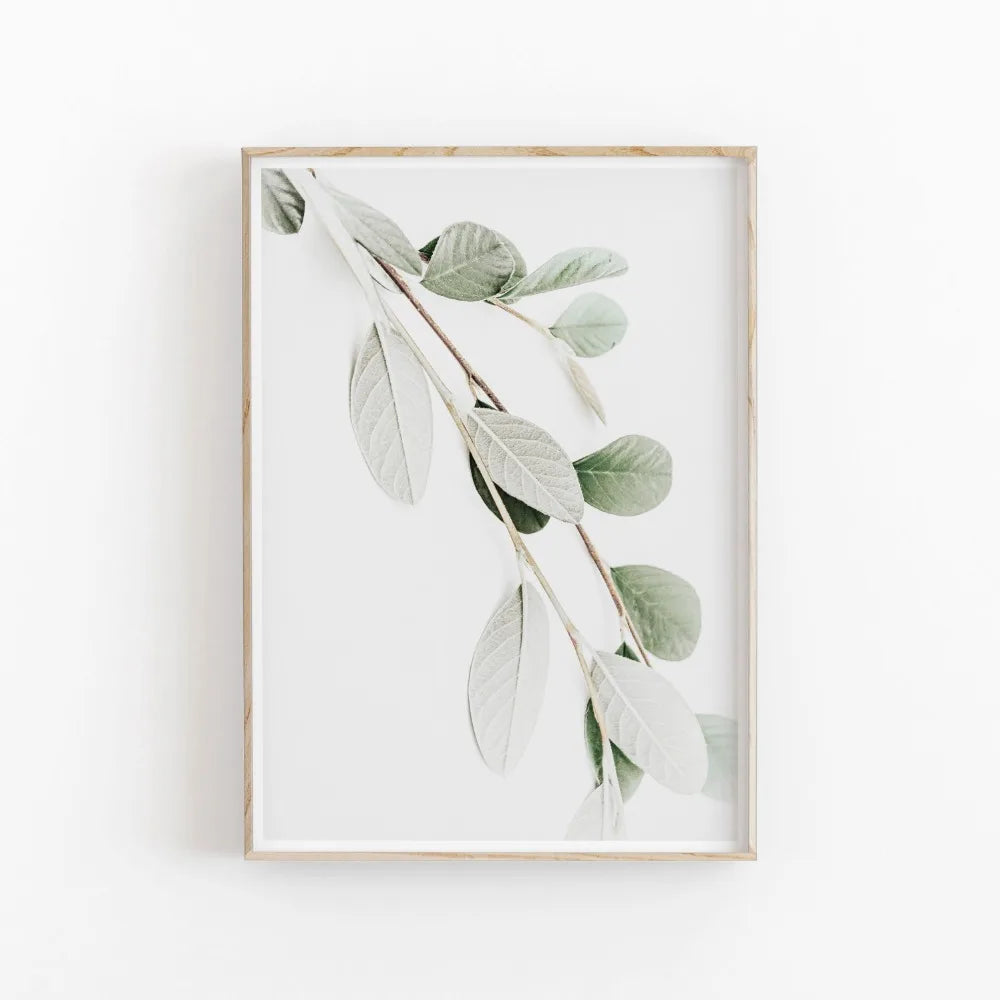 Quadro Decorativo Eucalipto e Palmeira — Arte Botânica Nórdica Minimalista para Sala