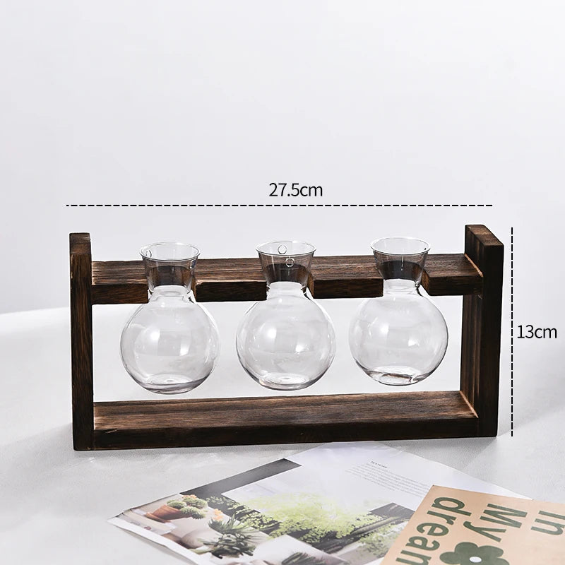 Vaso Hidropônico Formato Lampada com Base de Madeira — Decoração para Mesa e Escritório
