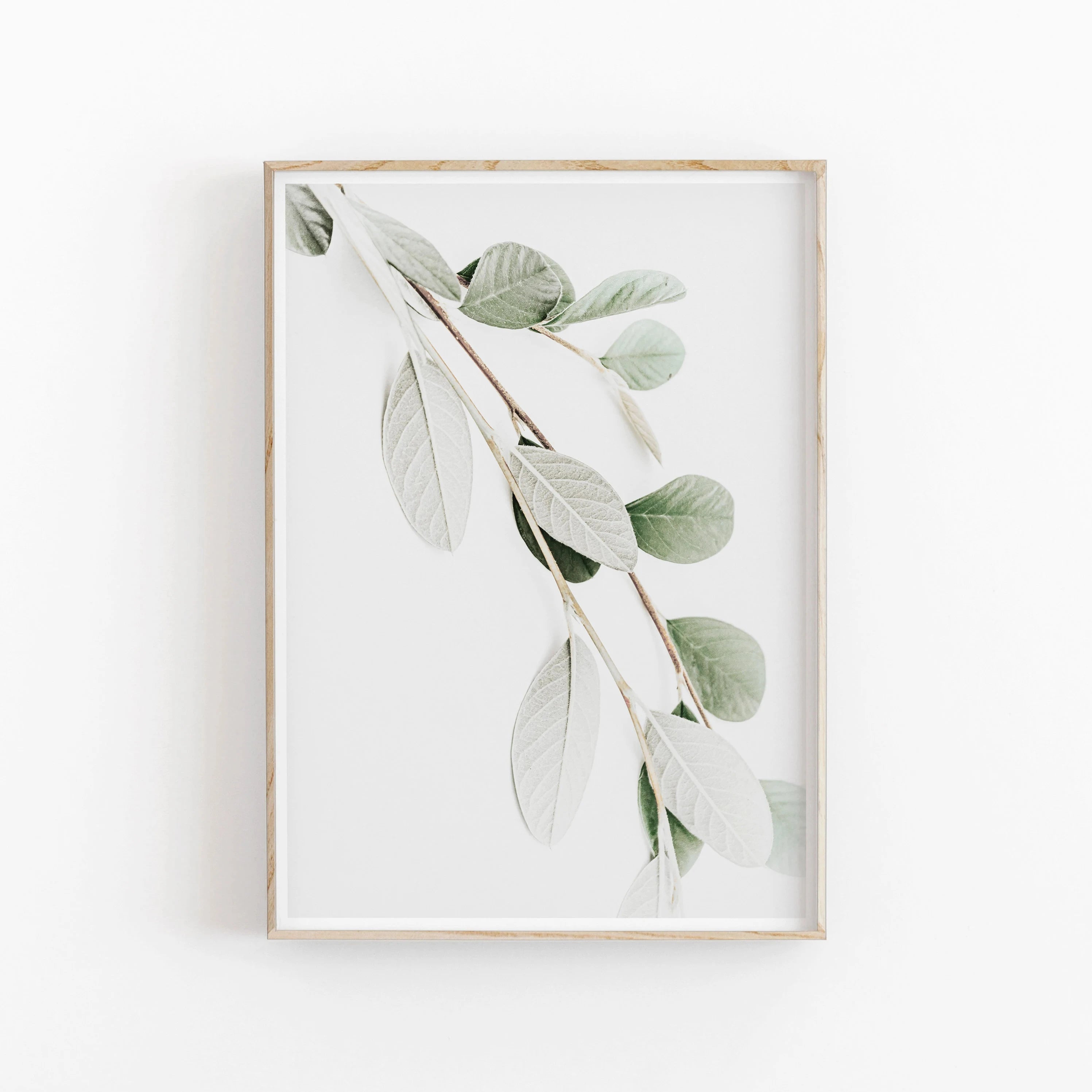 Quadro Decorativo Eucalipto e Palmeira — Arte Botânica Nórdica Minimalista para Sala