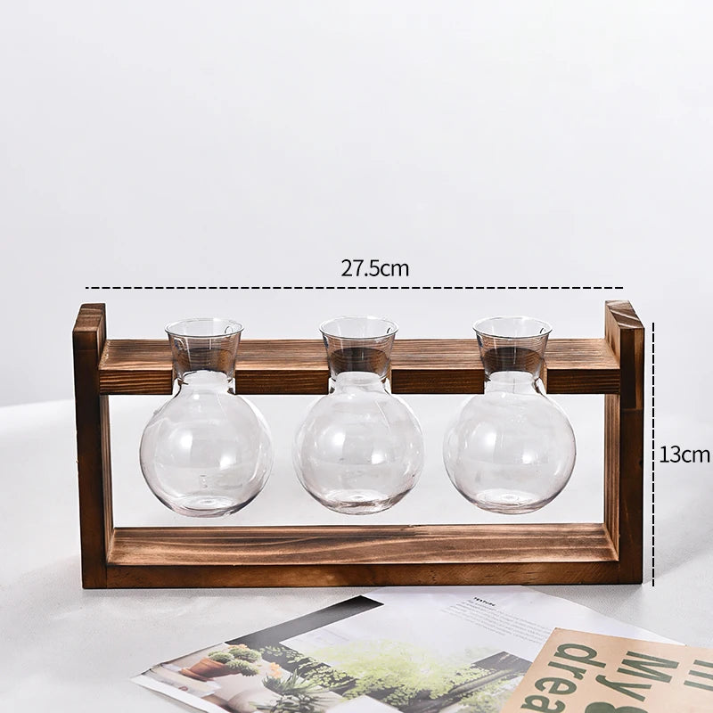 Vaso Hidropônico Formato Lampada com Base de Madeira — Decoração para Mesa e Escritório