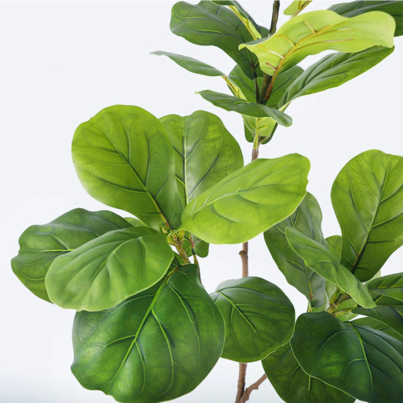 Ficus Lyrata Artificial Extra Grande 77 a 135cm — Para Jardim, Varanda e Escritório