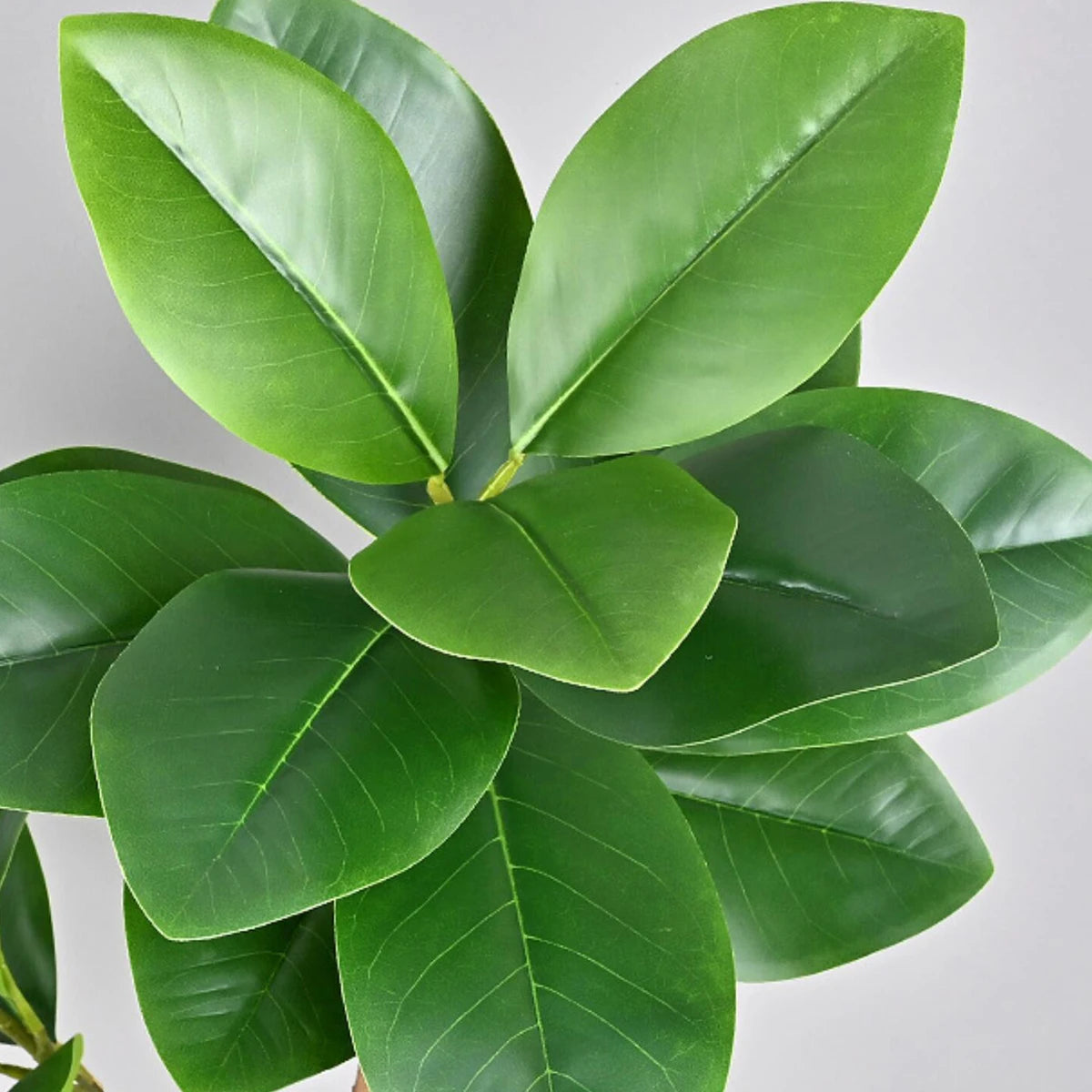 Ficus Lyrata Artificial Extra Grande 77 a 135cm — Para Jardim, Varanda e Escritório