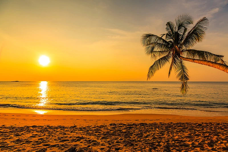 Quadro Decorativo Praia Pôr do Sol Dourado — Arte de Paisagem Tropical para Sala