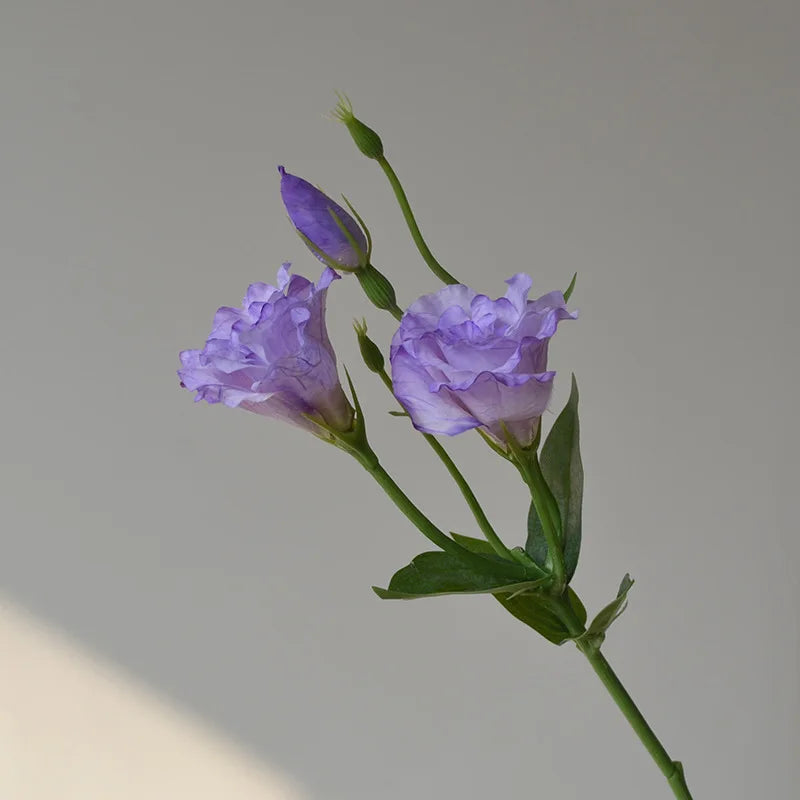 Flores Artificiais Lisianthus — Buquê com 5 Hastes para Decoração, Mesa, Casamento e Festa
