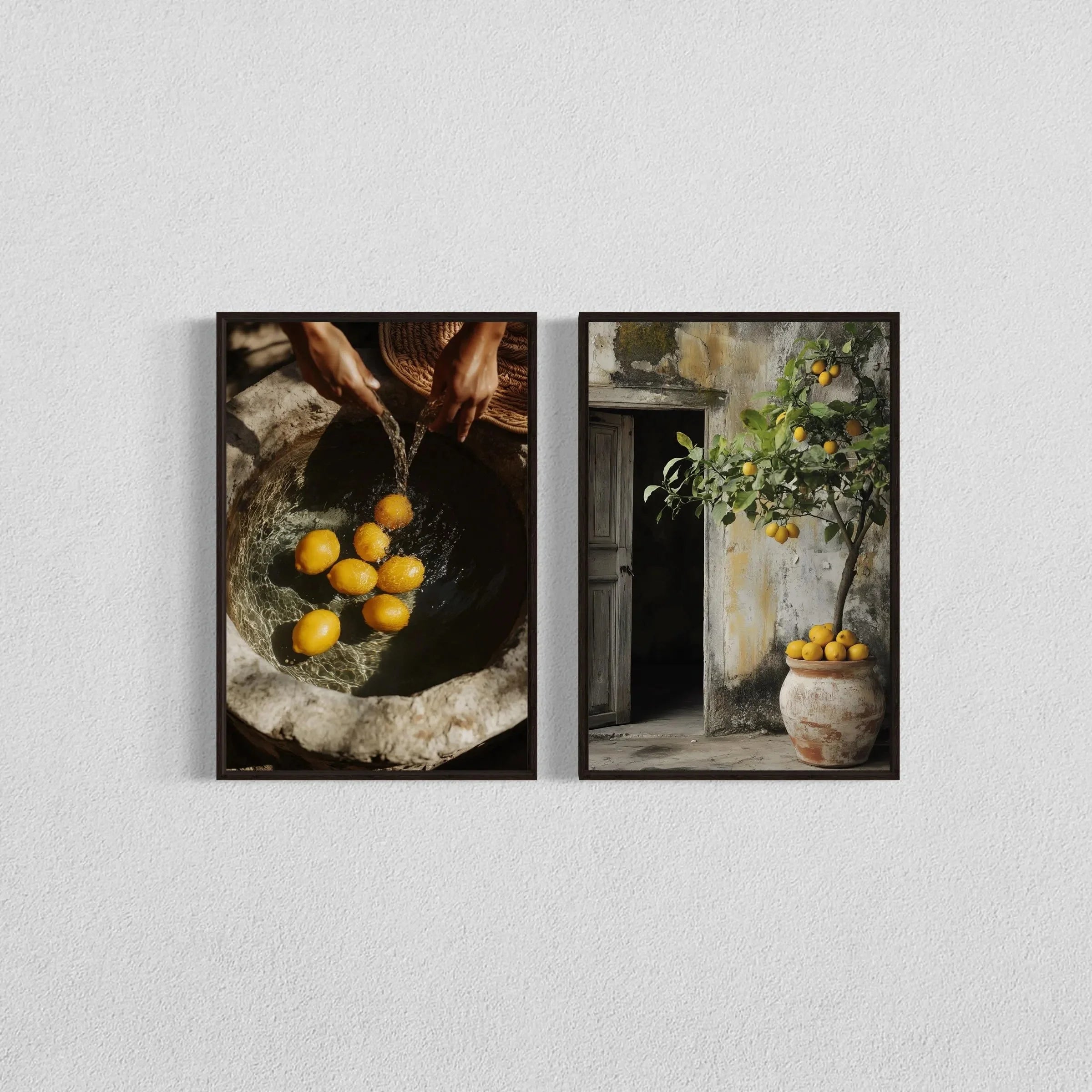 Kit 2 Quadros Oliveira e Vaso — Arte Botânica Retrô para Sala