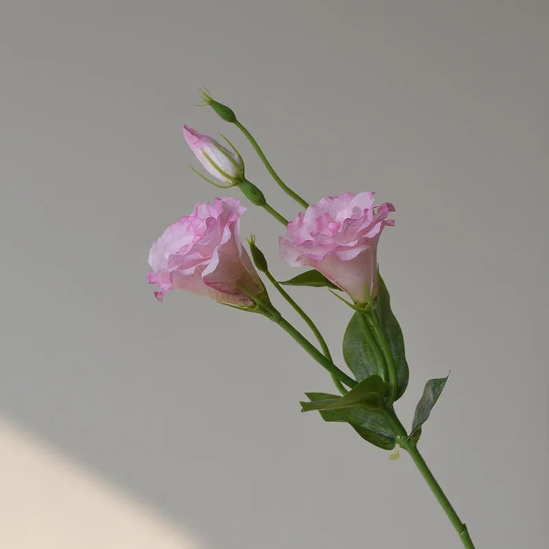 Flores Artificiais Lisianthus — Buquê com 5 Hastes para Decoração, Mesa, Casamento e Festa