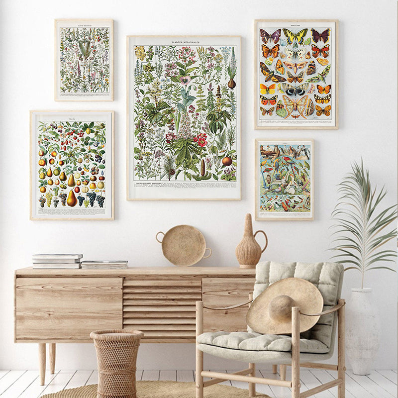 Quadro Decorativo Botânico Vintage Clássico — Cogumelos, Flores e Vegetais para Sala