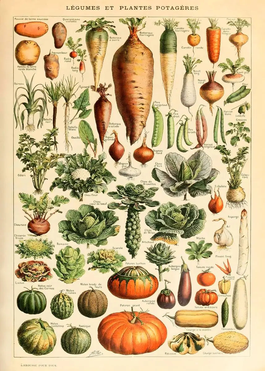 Quadro Decorativo Botânico Vintage Clássico — Cogumelos, Flores e Vegetais para Sala