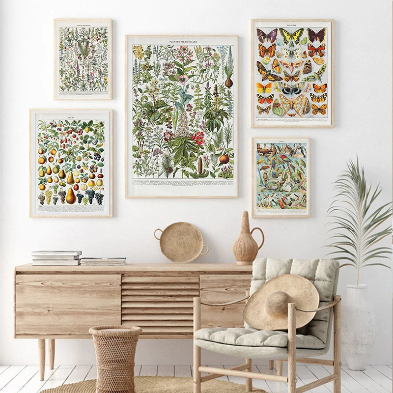 Quadro Decorativo Botânico Vintage Clássico — Cogumelos, Flores e Vegetais para Sala