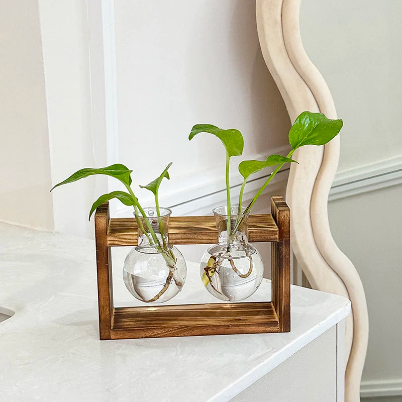 Vaso Hidropônico Formato Lampada com Base de Madeira — Decoração para Mesa e Escritório