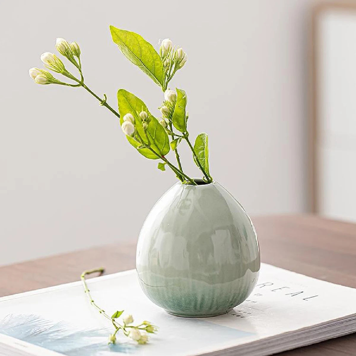 Vaso Cerâmica Simples Hidropônico — Decoração de Mesa para Sala e Jantar