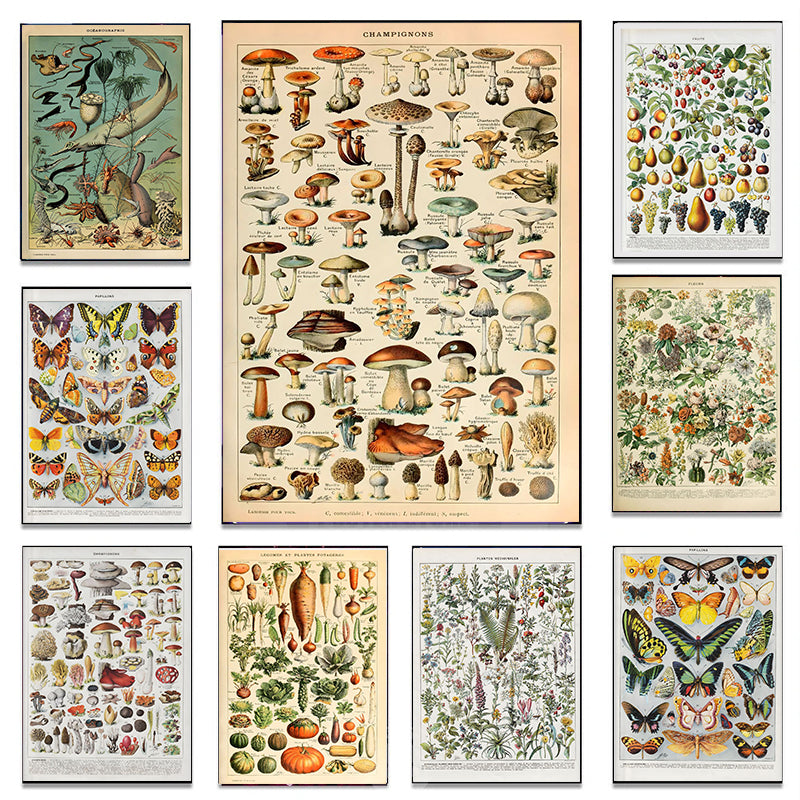Quadro Decorativo Botânico Vintage Clássico — Cogumelos, Flores e Vegetais para Sala