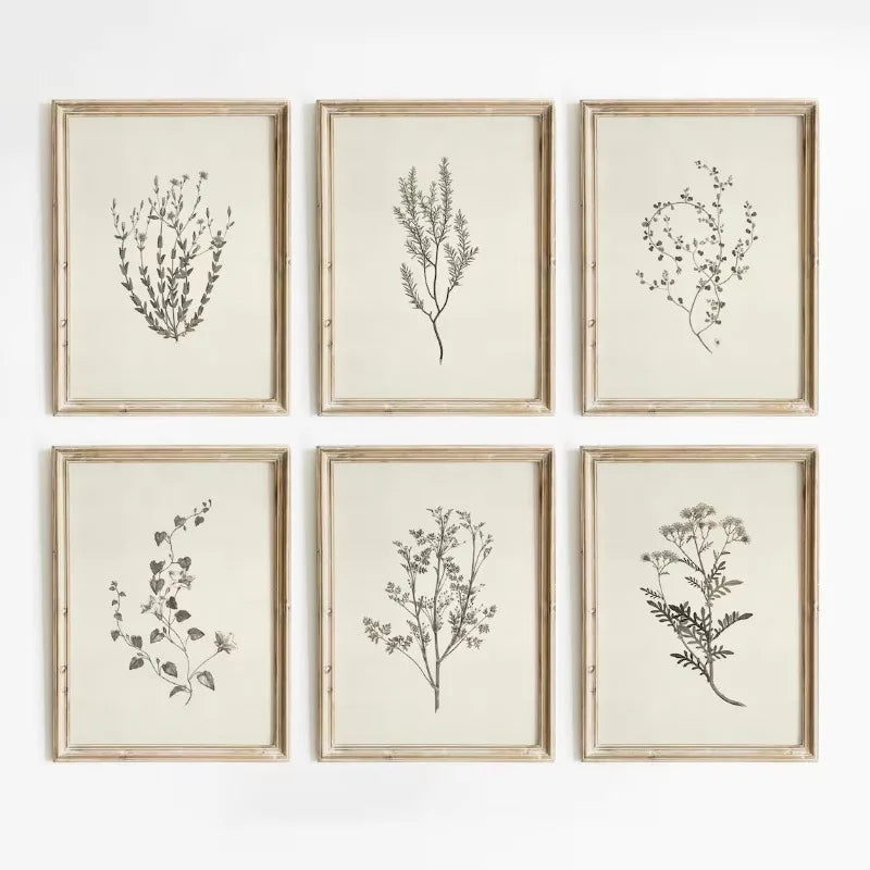 Quadro Decorativo Floral Botânico Vintage Bege — Arte de Flores para Sala