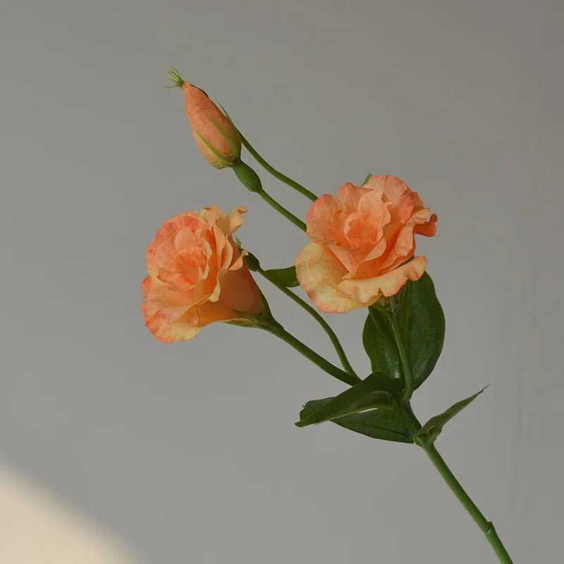 Flores Artificiais Lisianthus — Buquê com 5 Hastes para Decoração, Mesa, Casamento e Festa
