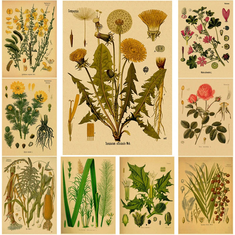 Quadro Decorativo Botânico Plantas Medicinais — Arte Vintage em Papel Kraft para Sala