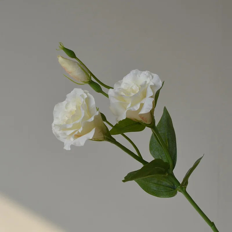 Flores Artificiais Lisianthus — Buquê com 5 Hastes para Decoração, Mesa, Casamento e Festa