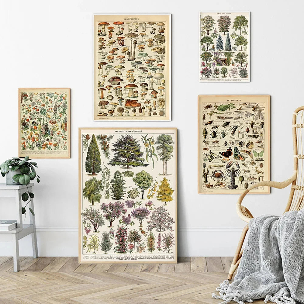 Quadro Decorativo Enciclopédia Vintage Adolphe Millot — Cogumelos, Ervas e Flores Botânicas para Sala
